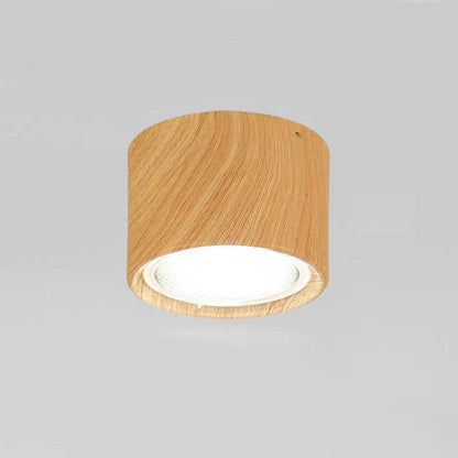 Versatile LED Cylinder Ceiling Light Fixture