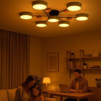 Minimalist LED Ceiling Fixture with Branch Design