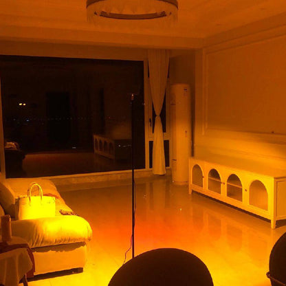 Mood-Enhancing LED Halo Projector Floor Lamp