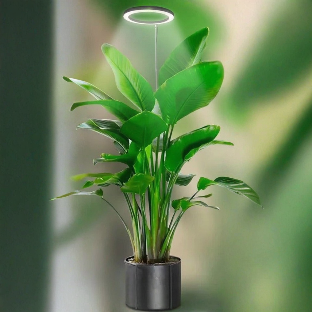 Adjustable Telescopic Stand LED Grow Light with Automatic Timer