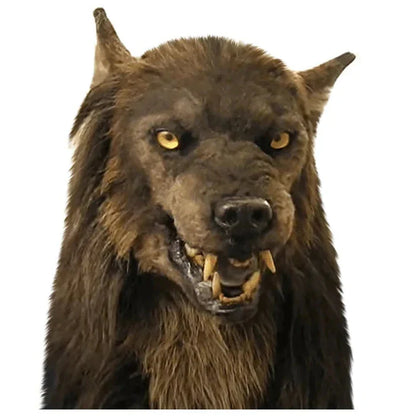 Lifelike Wolf Head Mask with Breathable Fit for Events