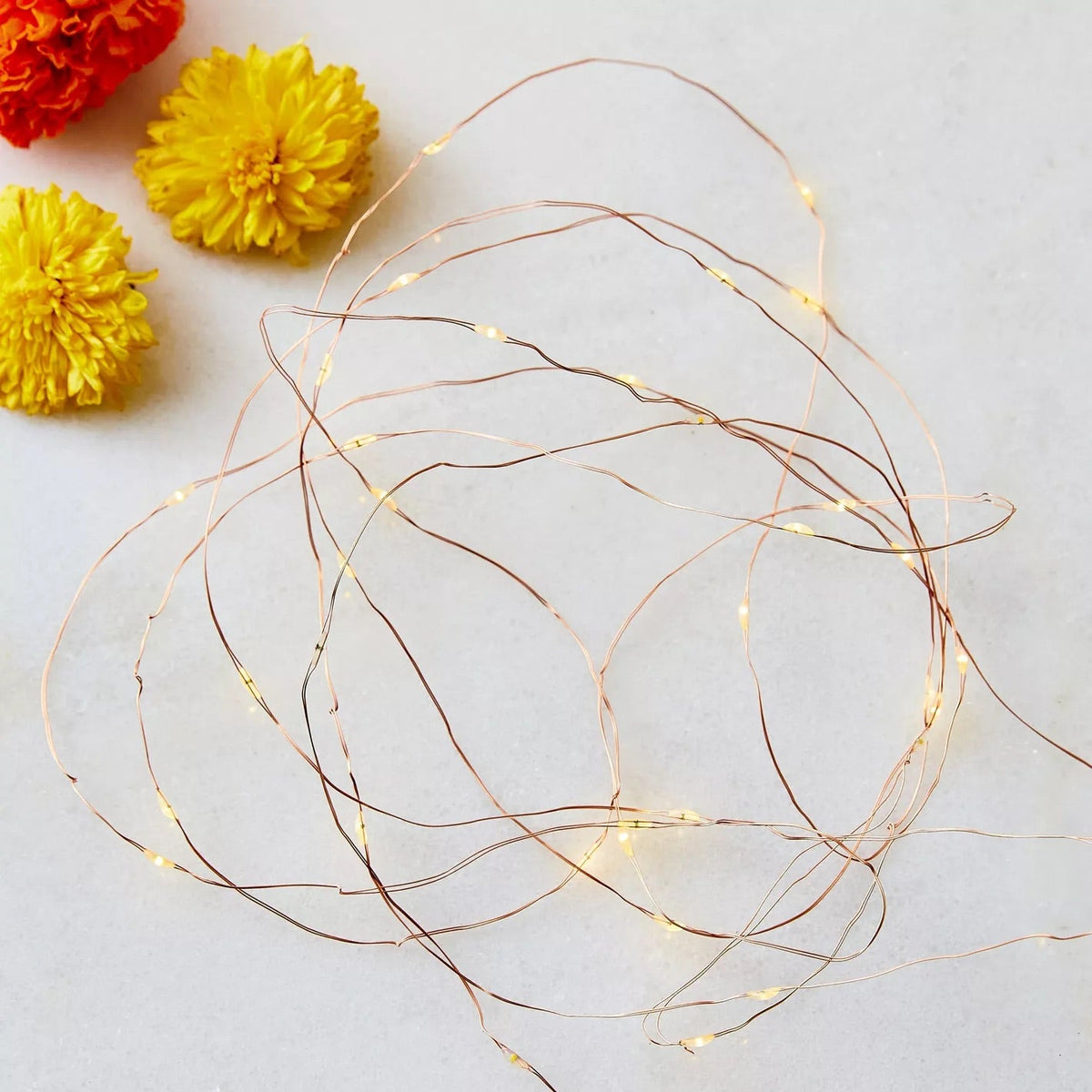 13.8ft LED Outdoor String Lights for Garden Decor